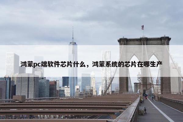 鸿蒙pc端软件芯片什么，鸿蒙系统的芯片在哪生产
