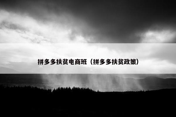 拼多多扶贫电商班（拼多多扶贫政策）