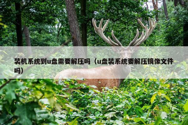 装机系统到u盘需要解压吗（u盘装系统要解压镜像文件吗）