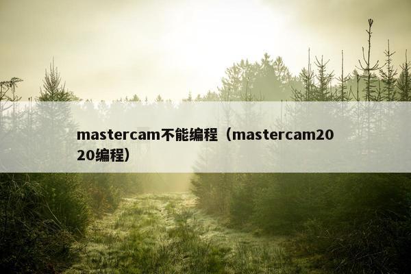 mastercam不能编程（mastercam2020编程）