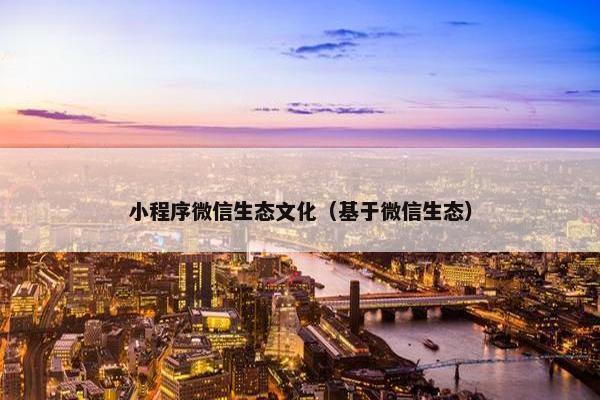 小程序微信生态文化（基于微信生态）