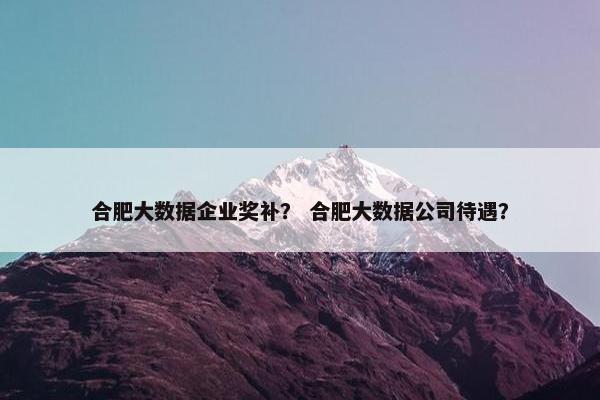 合肥大数据企业奖补？ 合肥大数据公司待遇？