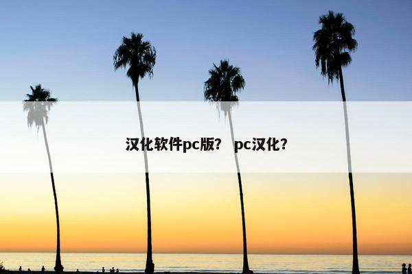 汉化软件pc版？ pc汉化？