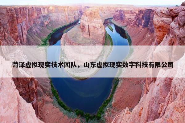 菏泽虚拟现实技术团队，山东虚拟现实数字科技有限公司