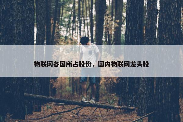 物联网各国所占股份，国内物联网龙头股