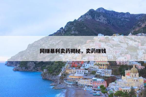 网赚暴利卖药揭秘，卖药赚钱