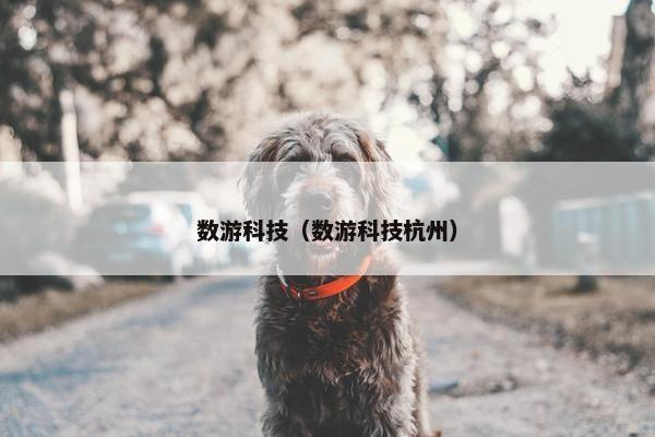 数游科技（数游科技杭州）