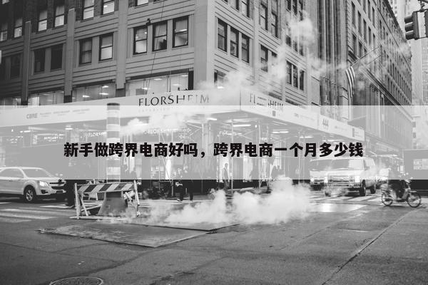 新手做跨界电商好吗，跨界电商一个月多少钱