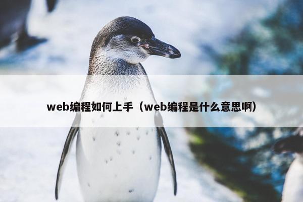 web编程如何上手（web编程是什么意思啊）