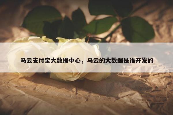 马云支付宝大数据中心，马云的大数据是谁开发的