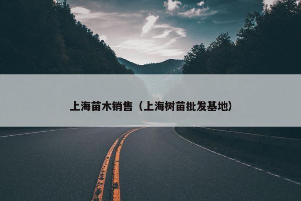 上海苗木销售（上海树苗批发基地）
