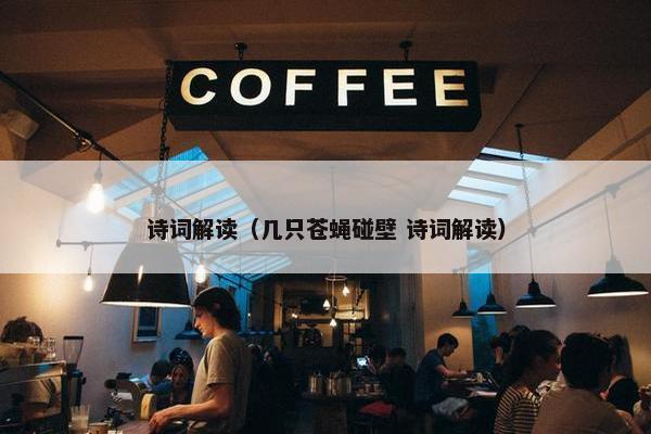 诗词解读（几只苍蝇碰壁 诗词解读）