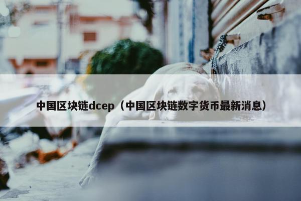 中国区块链dcep（中国区块链数字货币最新消息）