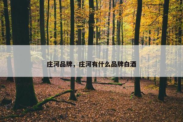 庄河品牌，庄河有什么品牌白酒