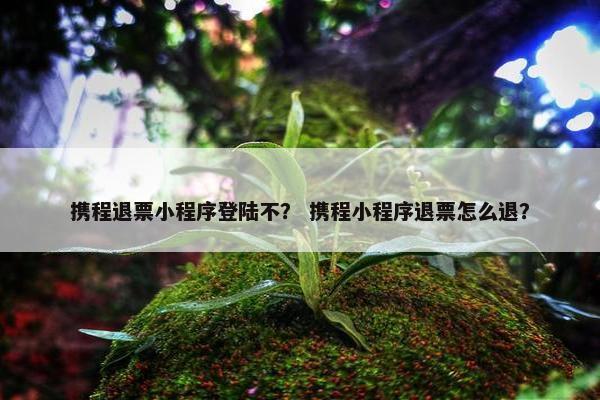 携程退票小程序登陆不？ 携程小程序退票怎么退？