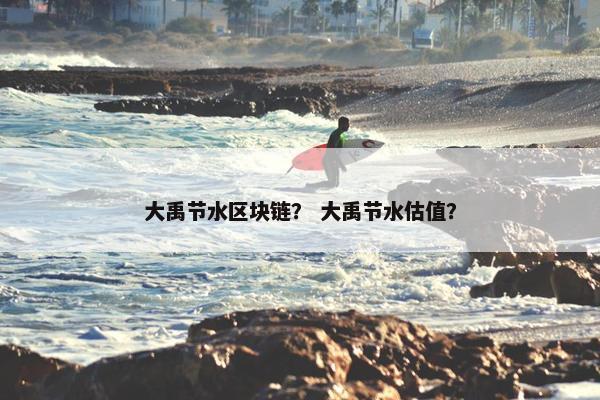 大禹节水区块链？ 大禹节水估值？