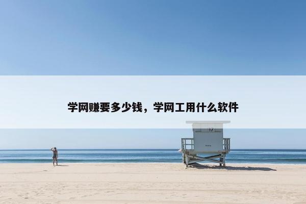 学网赚要多少钱，学网工用什么软件