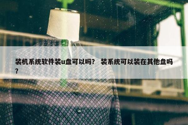 装机系统软件装u盘可以吗？ 装系统可以装在其他盘吗？