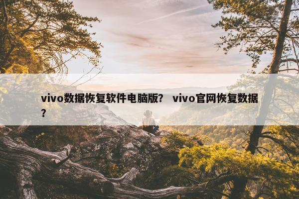 vivo数据恢复软件电脑版？ vivo官网恢复数据？