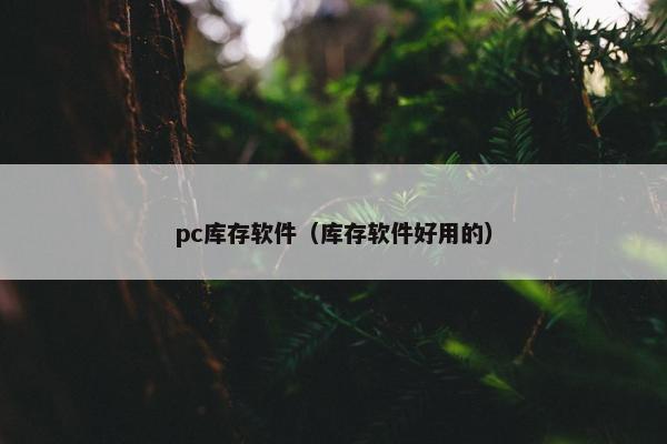 pc库存软件（库存软件好用的）