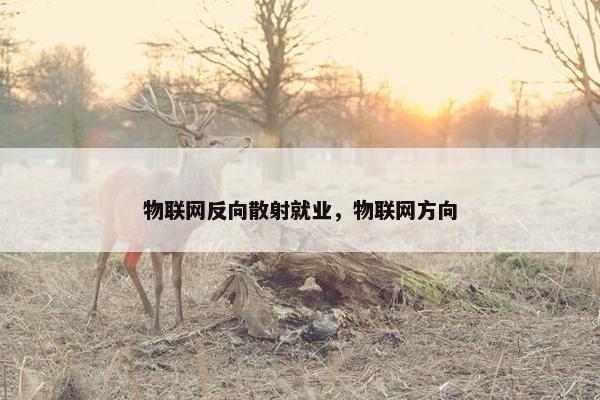 物联网反向散射就业，物联网方向