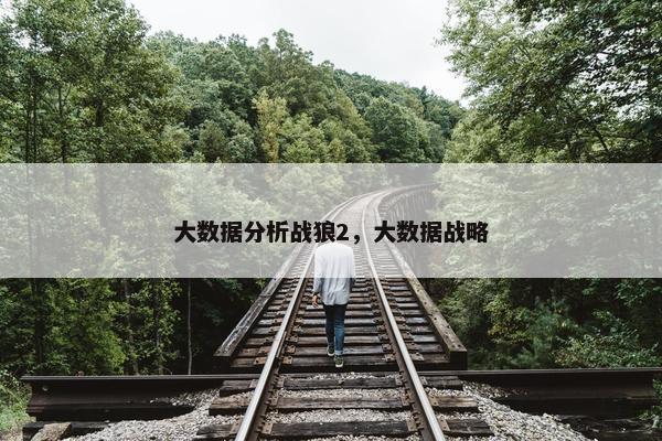 大数据分析战狼2，大数据战略