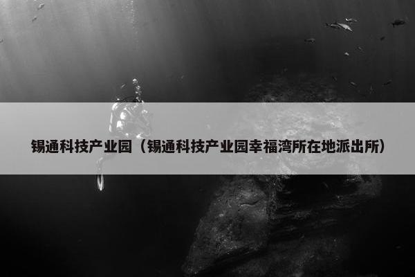 锡通科技产业园（锡通科技产业园幸福湾所在地派出所）