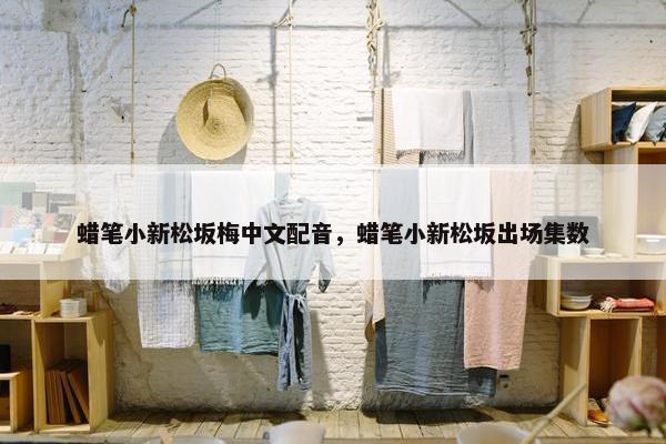 蜡笔小新松坂梅中文配音，蜡笔小新松坂出场集数