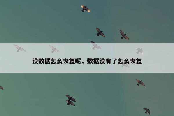 没数据怎么恢复呢，数据没有了怎么恢复