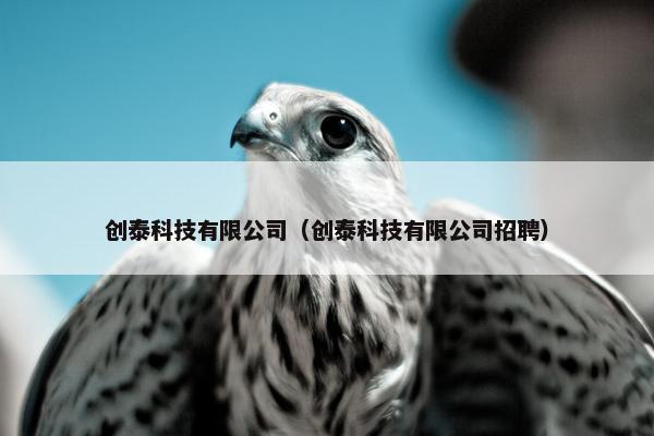 创泰科技有限公司（创泰科技有限公司招聘）