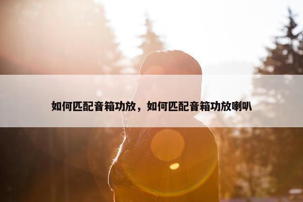 如何匹配音箱功放，如何匹配音箱功放喇叭