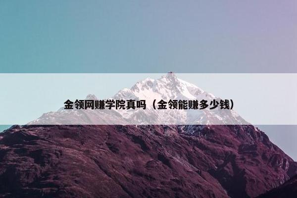 金领网赚学院真吗（金领能赚多少钱）