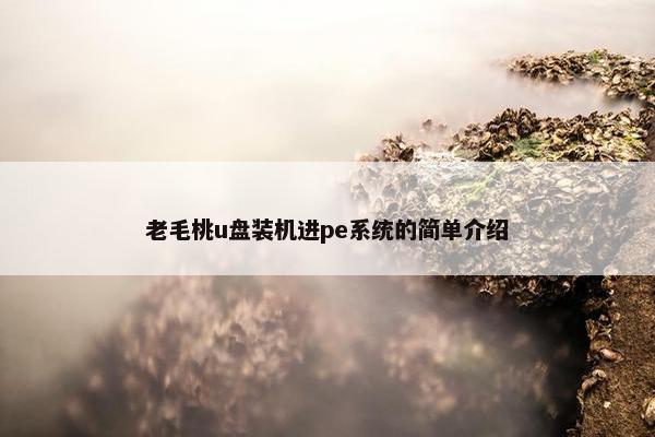 老毛桃u盘装机进pe系统的简单介绍