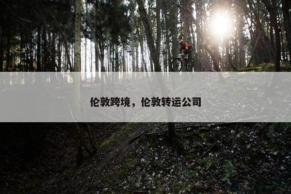 伦敦跨境，伦敦转运公司