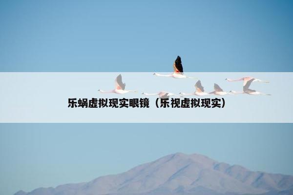 乐蜗虚拟现实眼镜（乐视虚拟现实）