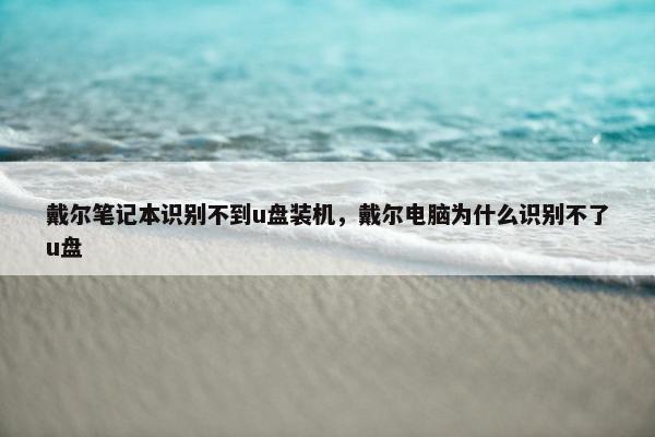 戴尔笔记本识别不到u盘装机，戴尔电脑为什么识别不了u盘