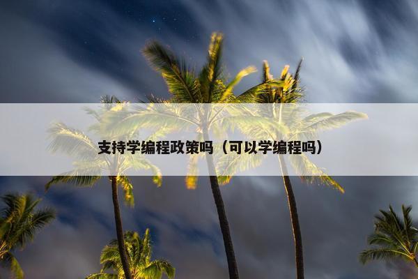 支持学编程政策吗（可以学编程吗）