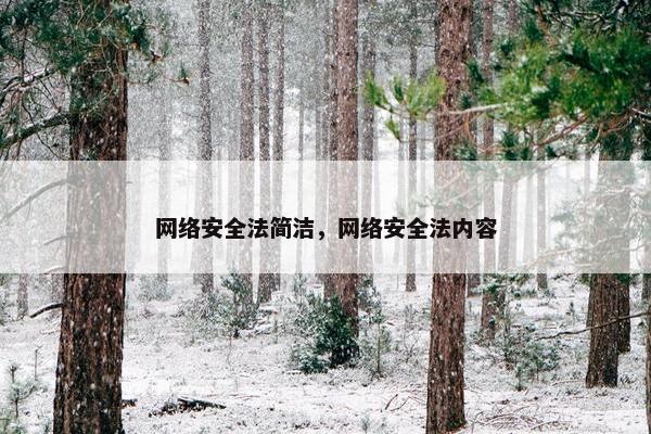 网络安全法简洁，网络安全法内容