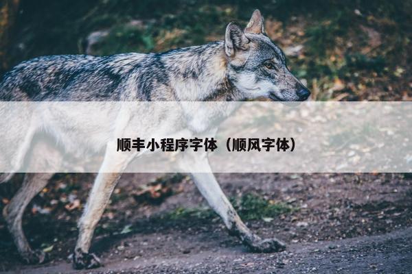顺丰小程序字体（顺风字体）