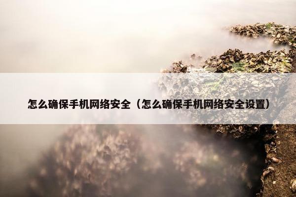 怎么确保手机网络安全（怎么确保手机网络安全设置）