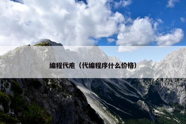 编程代庖（代编程序什么价格）