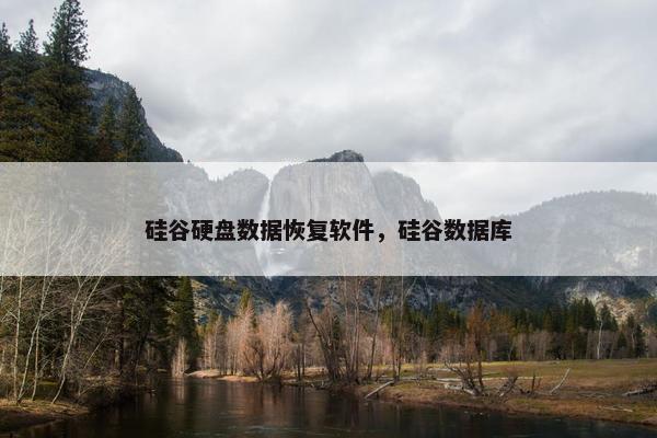 硅谷硬盘数据恢复软件，硅谷数据库