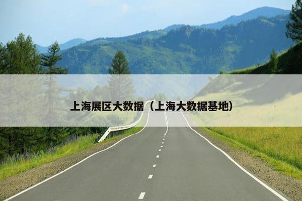上海展区大数据（上海大数据基地）