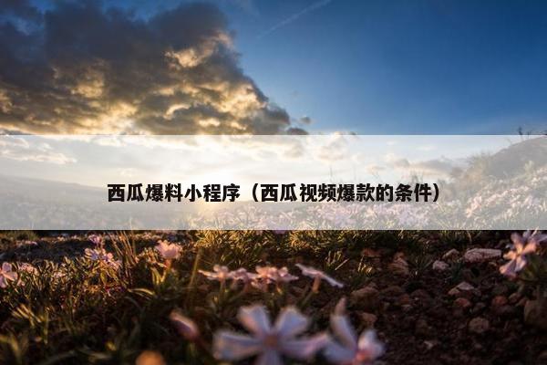 西瓜爆料小程序（西瓜视频爆款的条件）