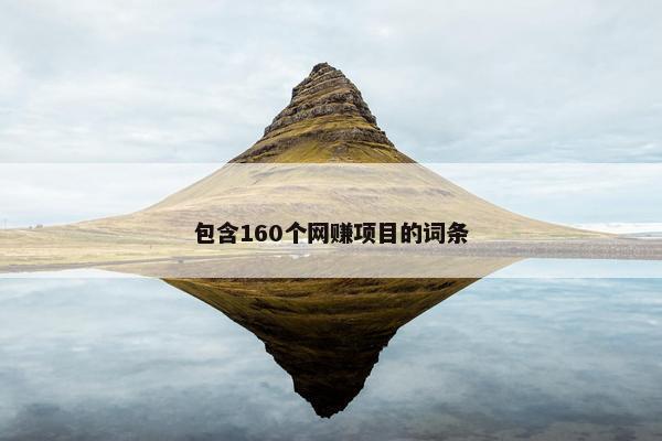 包含160个网赚项目的词条