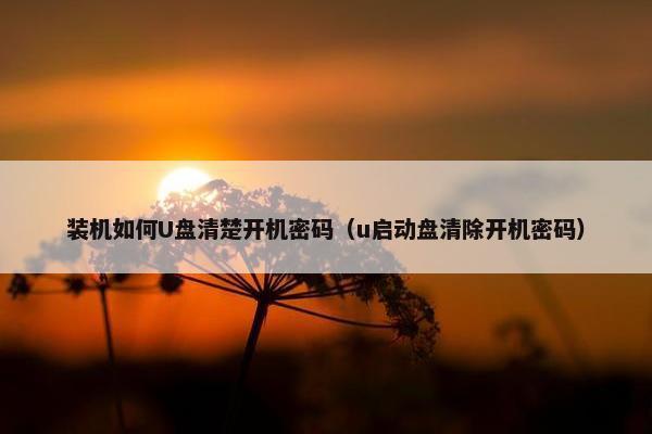 装机如何U盘清楚开机密码（u启动盘清除开机密码）