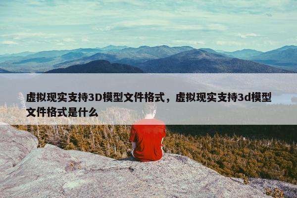 虚拟现实支持3D模型文件格式，虚拟现实支持3d模型文件格式是什么