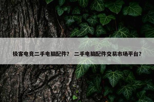 极客电竞二手电脑配件？ 二手电脑配件交易市场平台？