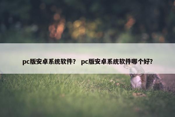 pc版安卓系统软件？ pc版安卓系统软件哪个好？