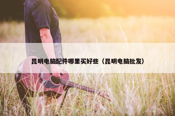 昆明电脑配件哪里买好些（昆明电脑批发）